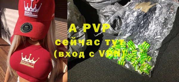 индика Баксан