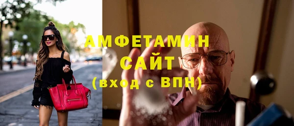 индика Балахна