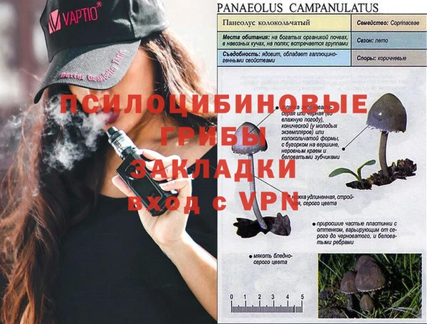 индика Баксан