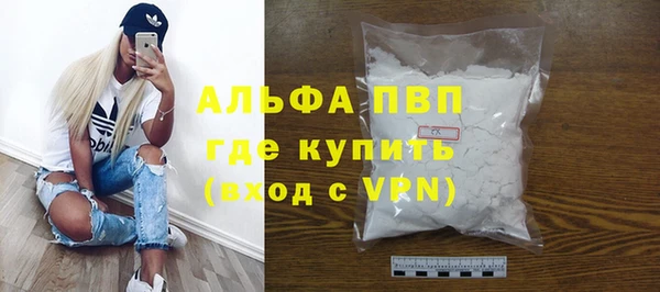 индика Баксан