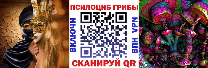 Псилоцибиновые грибы Cubensis  Райчихинск 